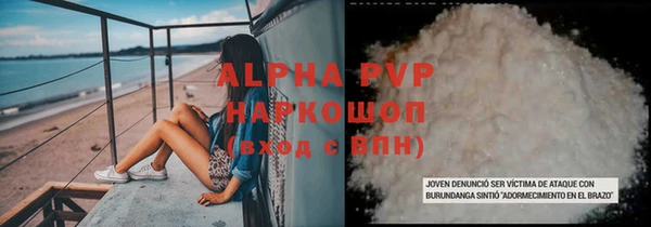 Альфа ПВП Каменка