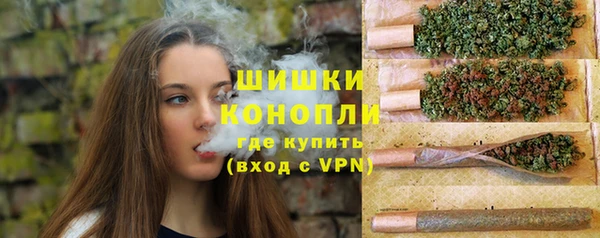 Альфа ПВП Каменка