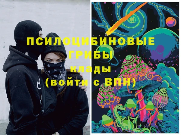 спиды Каменногорск