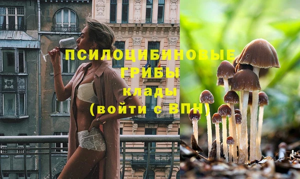 экстази Каменск-Шахтинский
