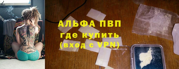 спиды Каменногорск