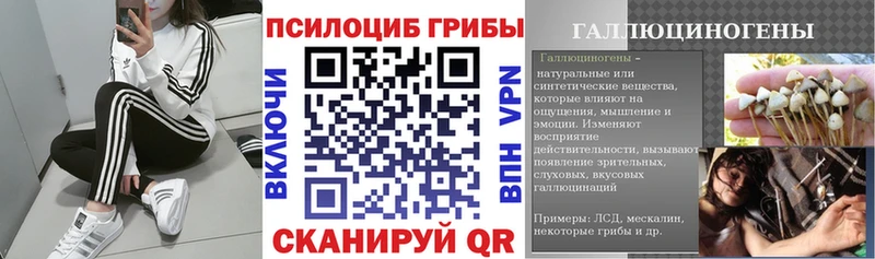 Галлюциногенные грибы Psilocybine cubensis  Купить закладки  Печоры 
